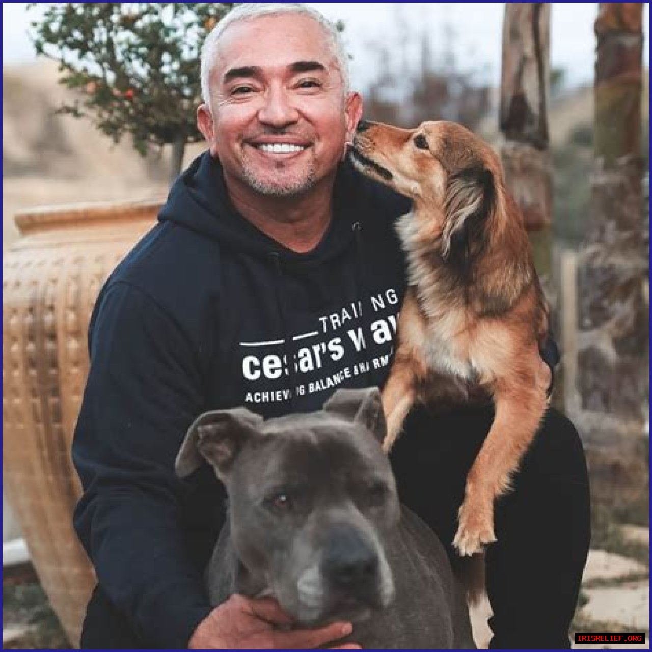 Unveiling Caesar Millan's Net Worth: Secrets And Surprises Revealed